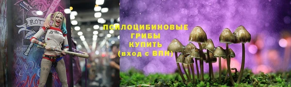 PSILOCYBIN Бронницы